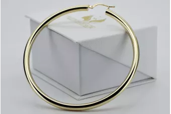 Pendientes de oro ★ https://zlotychlopak.pl/es/ ★ Muestra de oro 585 333 Precio bajo!