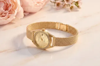 Studio