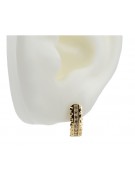 14K Yellow Gold Zirco Earrings cec009y