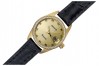 14K Жовте золото, Золота Lady Geneve годинник lw078ydyz